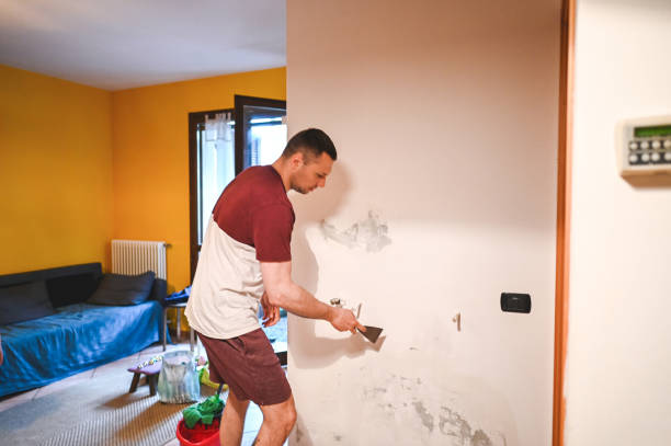 Best Post-Remediation Services in Fairport Harbor, OH